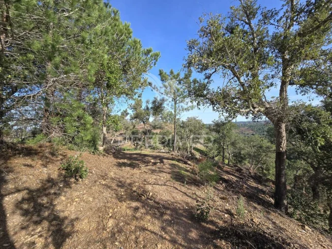 Terreno para Venda em Melides Foto 36