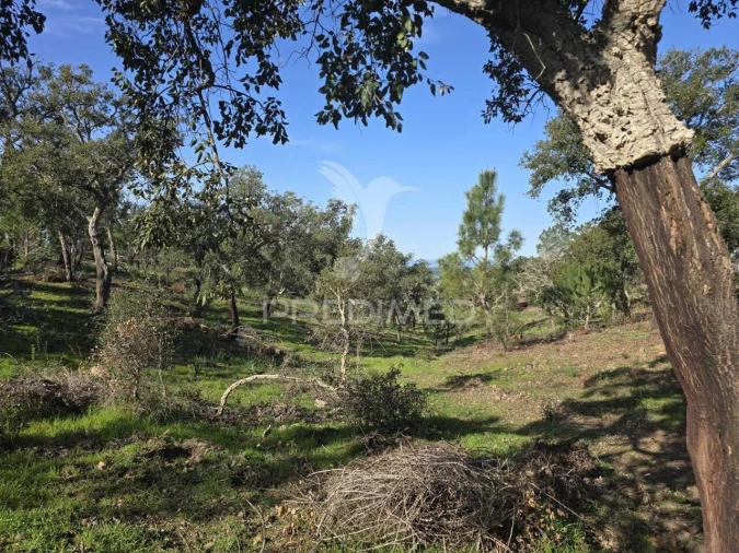 Terreno para Venda em Melides Foto 23
