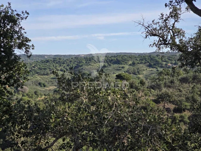 Terreno para Venda em Melides Foto 37