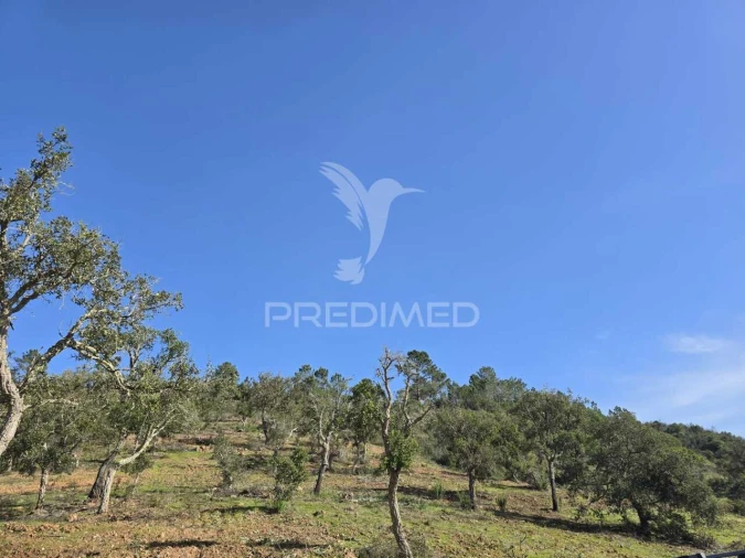 Terreno para Venda em Melides Foto 15