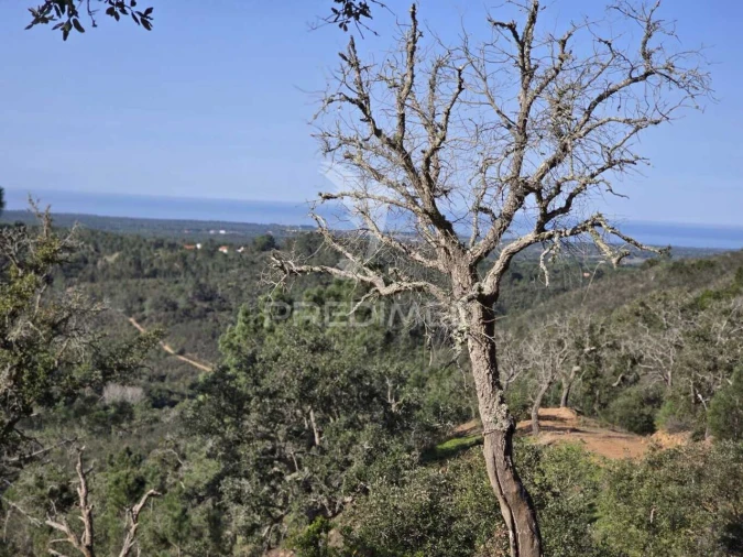 Terreno para Venda em Melides Foto 18