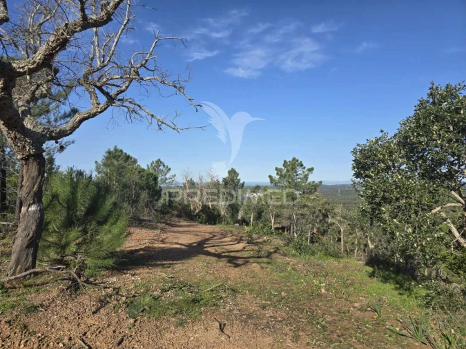 Terreno para Venda em Melides Foto 28