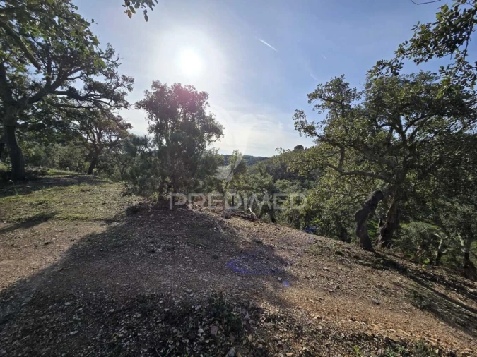 Terreno para Venda em Melides Foto 12