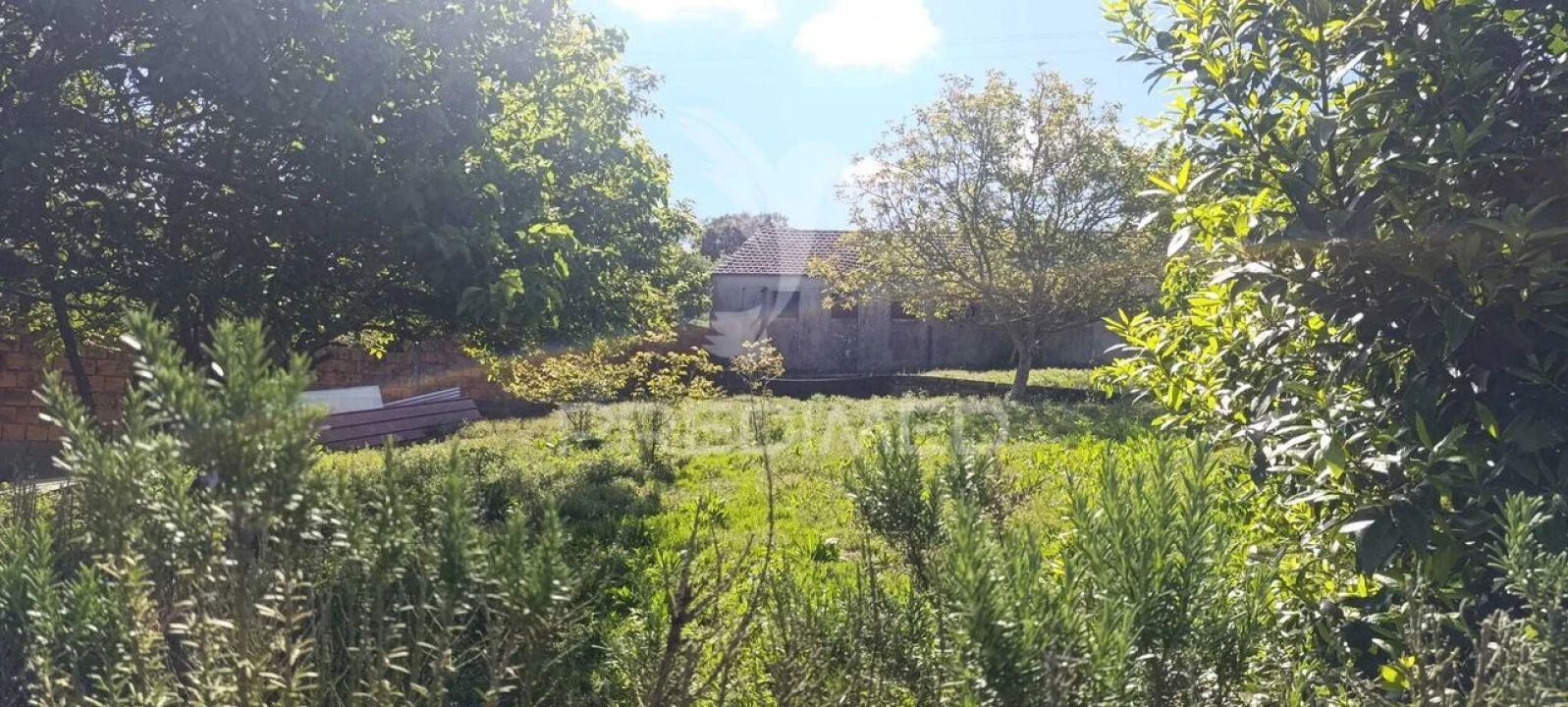 Moradia T3 para Venda em Asseiceira Foto 30