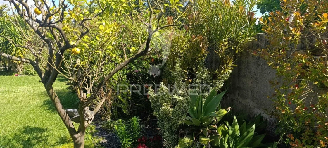 Moradia T3 para Venda em Asseiceira Foto 23