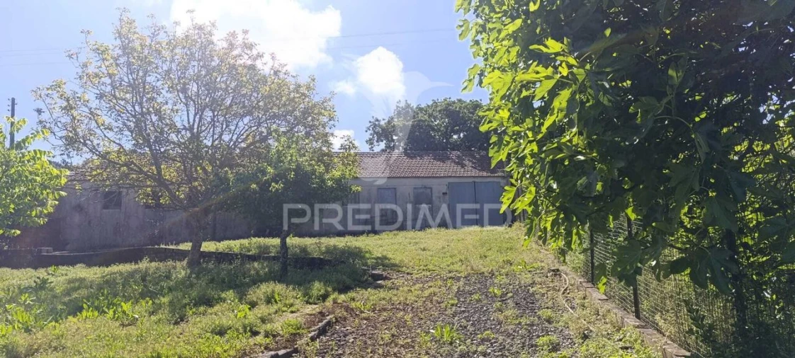 Moradia T3 para Venda em Asseiceira Foto 28