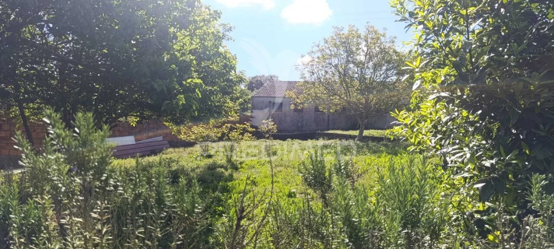 Moradia T3 para Venda em Asseiceira Foto 30