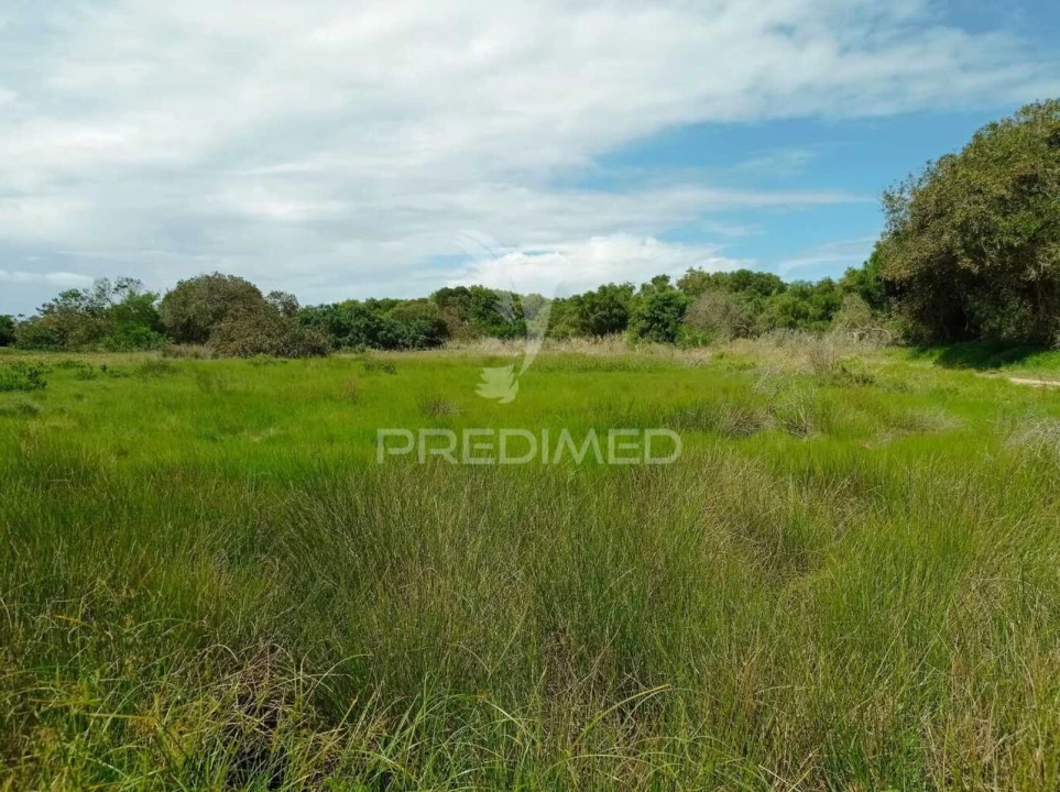 Quinta T0 para Venda em Longueira/Almograve Foto 32