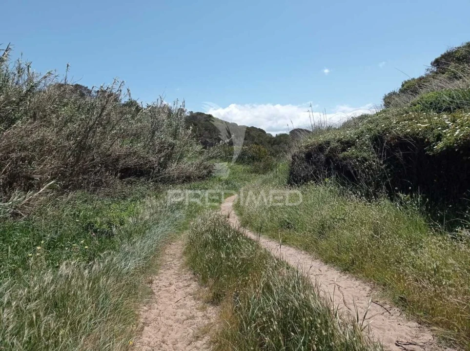 Quinta T0 para Venda em Longueira/Almograve Foto 31