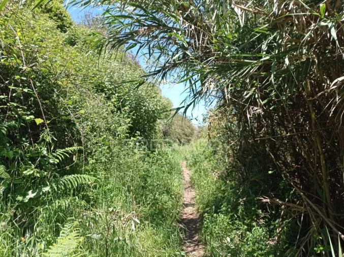 Quinta T0 para Venda em Longueira/Almograve Foto 12