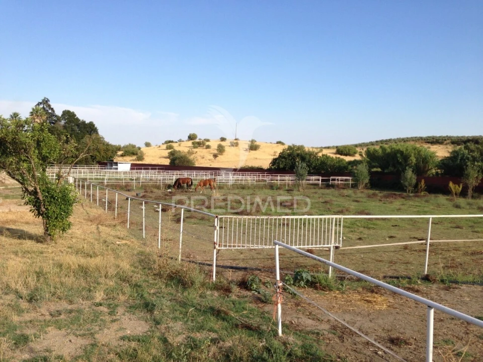 Moradia T4 para Venda em Assunção, Ajuda, Salvador e Santo Ildefonso Foto 21