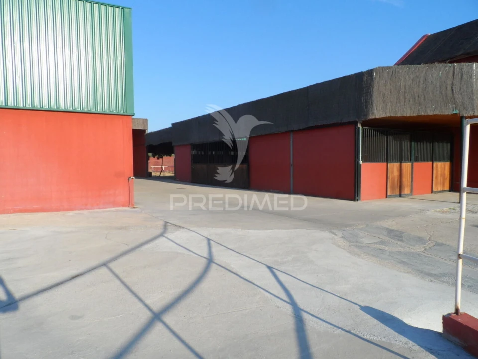 Moradia T4 para Venda em Assunção, Ajuda, Salvador e Santo Ildefonso Foto 9