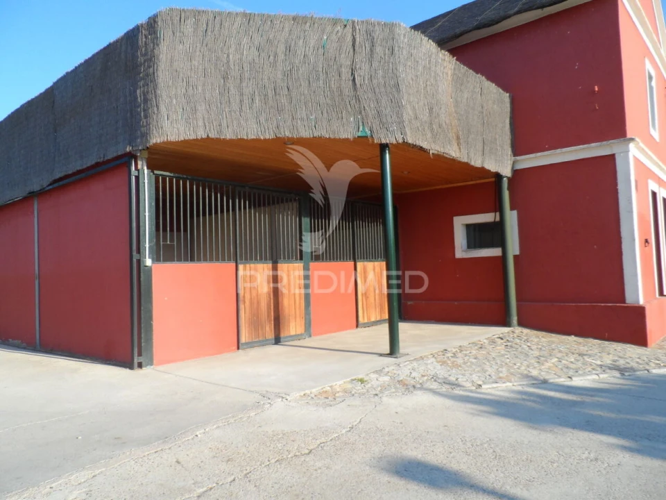 Moradia T4 para Venda em Assunção, Ajuda, Salvador e Santo Ildefonso Foto 2