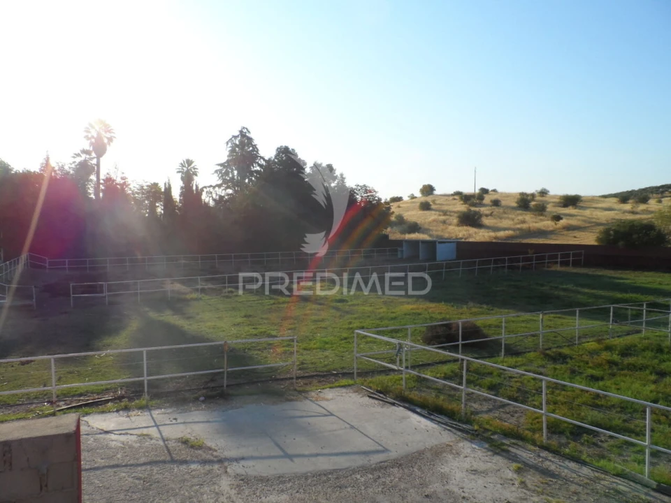 Moradia T4 para Venda em Assunção, Ajuda, Salvador e Santo Ildefonso Foto 8