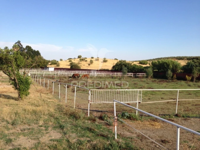 Moradia T4 para Venda em Assunção, Ajuda, Salvador e Santo Ildefonso Foto 21