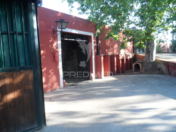 Moradia T4 para Venda em Assunção, Ajuda, Salvador e Santo Ildefonso Foto 3