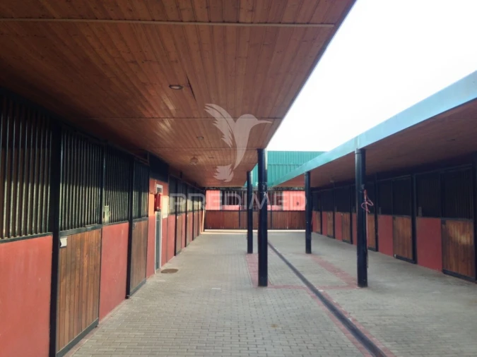 Moradia T4 para Venda em Assunção, Ajuda, Salvador e Santo Ildefonso Foto 22