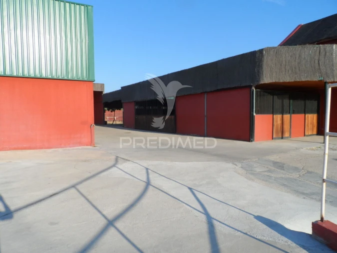 Moradia T4 para Venda em Assunção, Ajuda, Salvador e Santo Ildefonso Foto 9