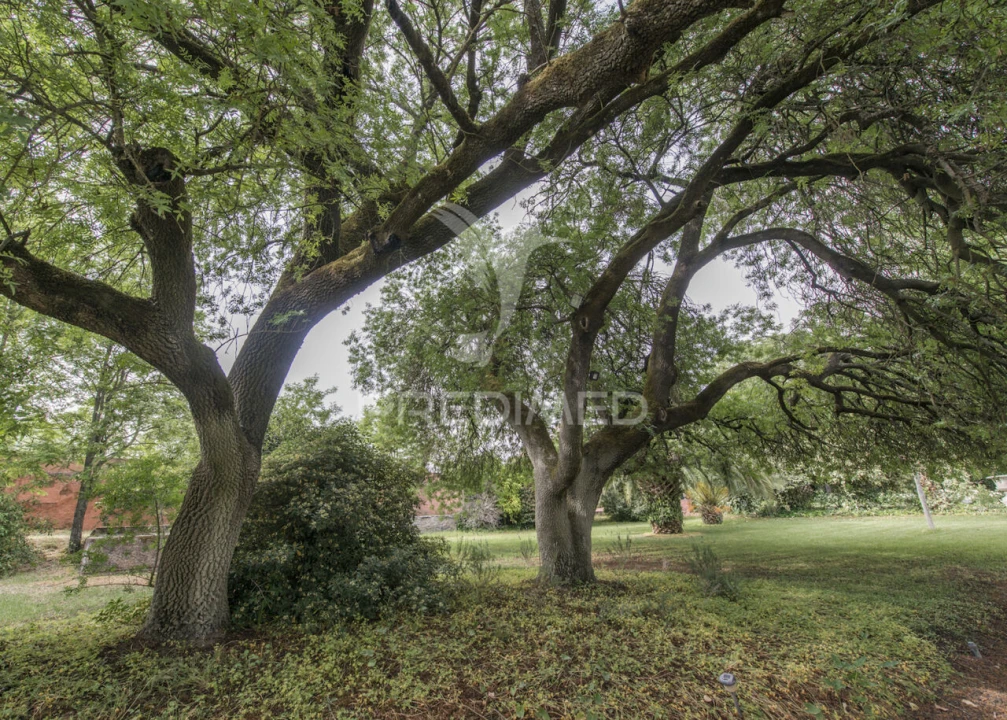 Moradia T8 para Venda em Assunção, Ajuda, Salvador e Santo Ildefonso Foto 23