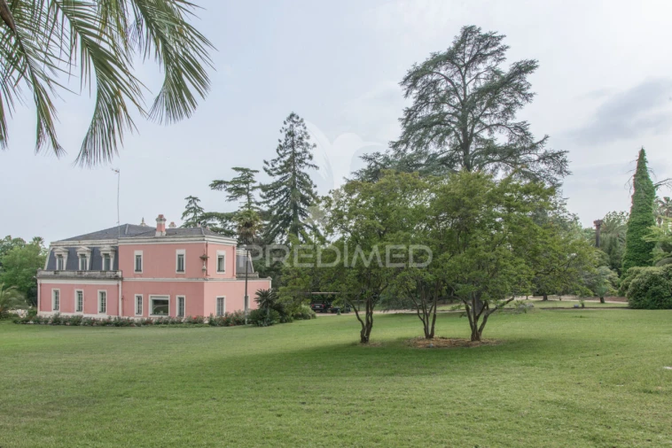 Moradia T8 para Venda em Assunção, Ajuda, Salvador e Santo Ildefonso Foto 25