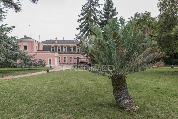 Moradia T8 para Venda em Assunção, Ajuda, Salvador e Santo Ildefonso Foto 22