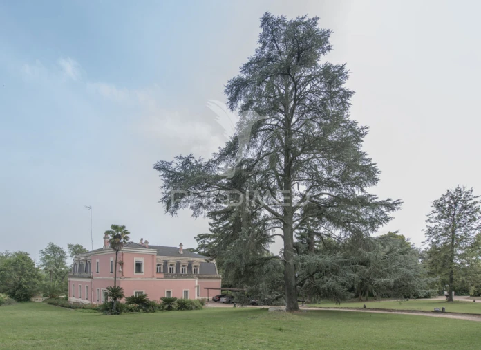 Moradia T8 para Venda em Assunção, Ajuda, Salvador e Santo Ildefonso Foto 24