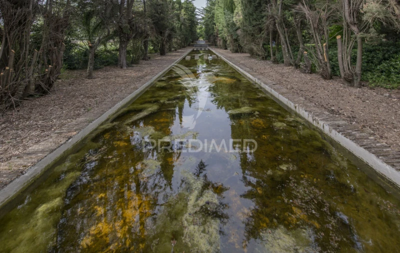 Moradia T8 para Venda em Assunção, Ajuda, Salvador e Santo Ildefonso Foto 32