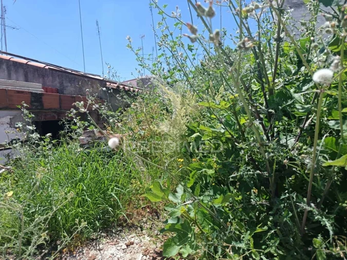 Moradia T4 para Venda em São João Baptista Foto 3