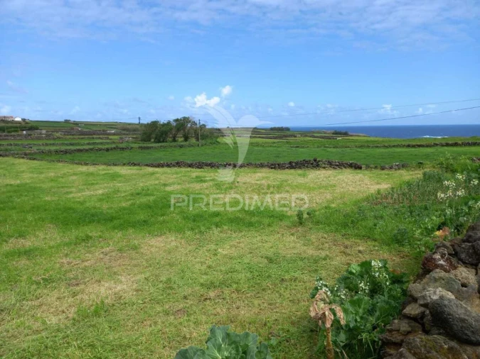 Terreno para Venda em Vila Nova Foto 7