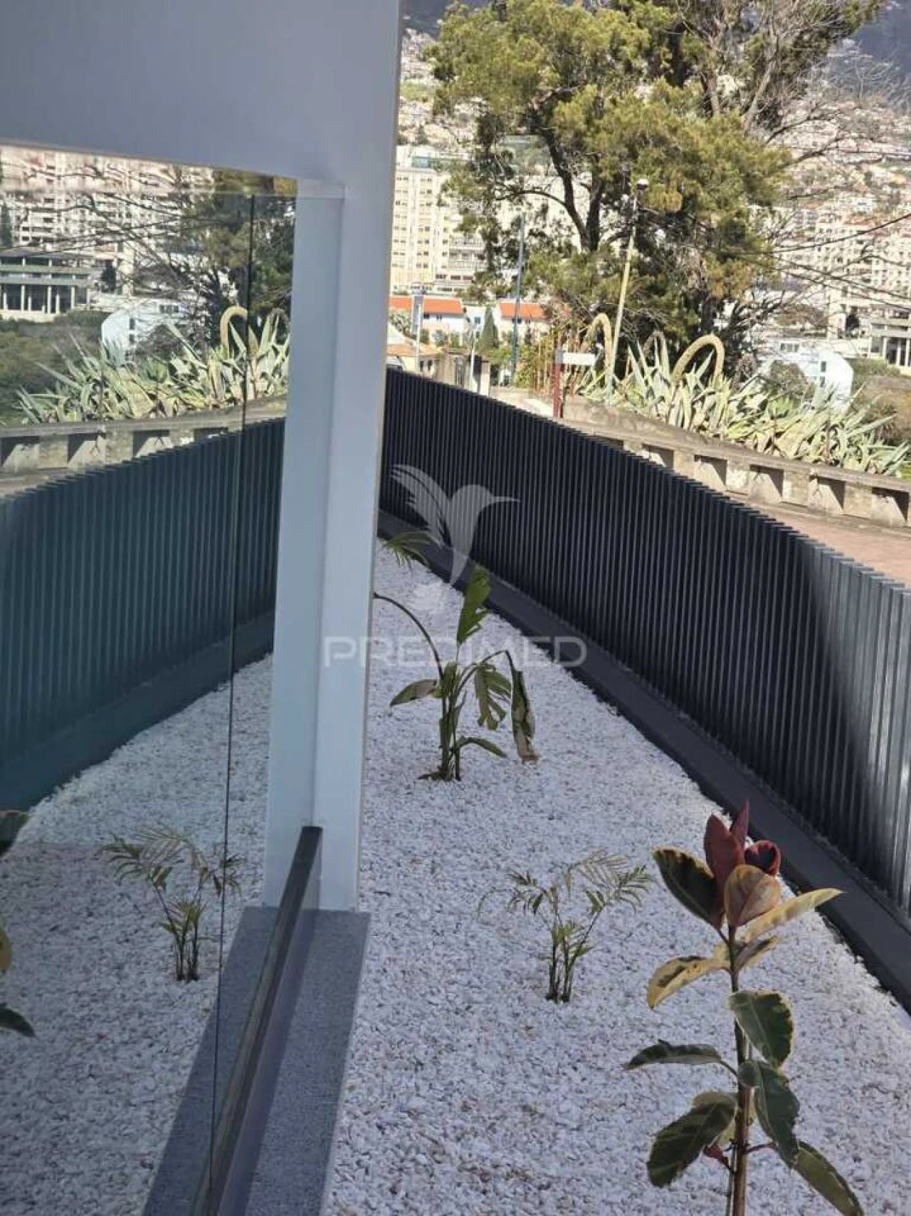 Apartamento T2 para Venda em São Martinho Foto 25