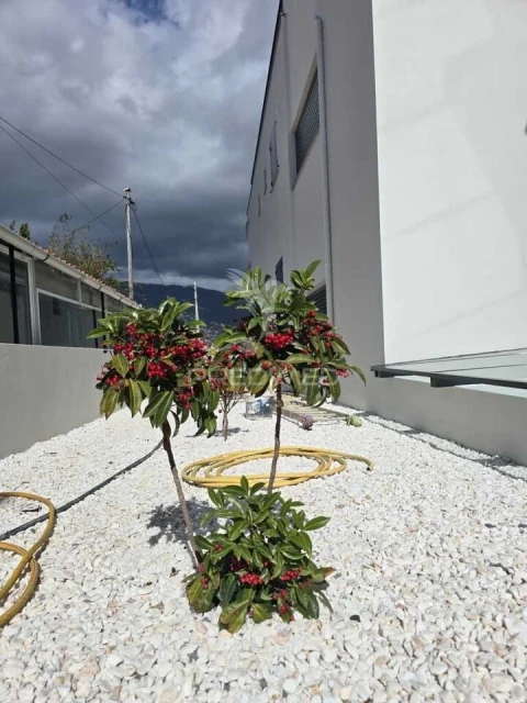 Apartamento T2 para Venda em São Martinho
