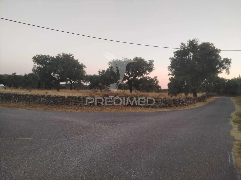Terreno para Venda em São Salvador da Aramenha Foto 4