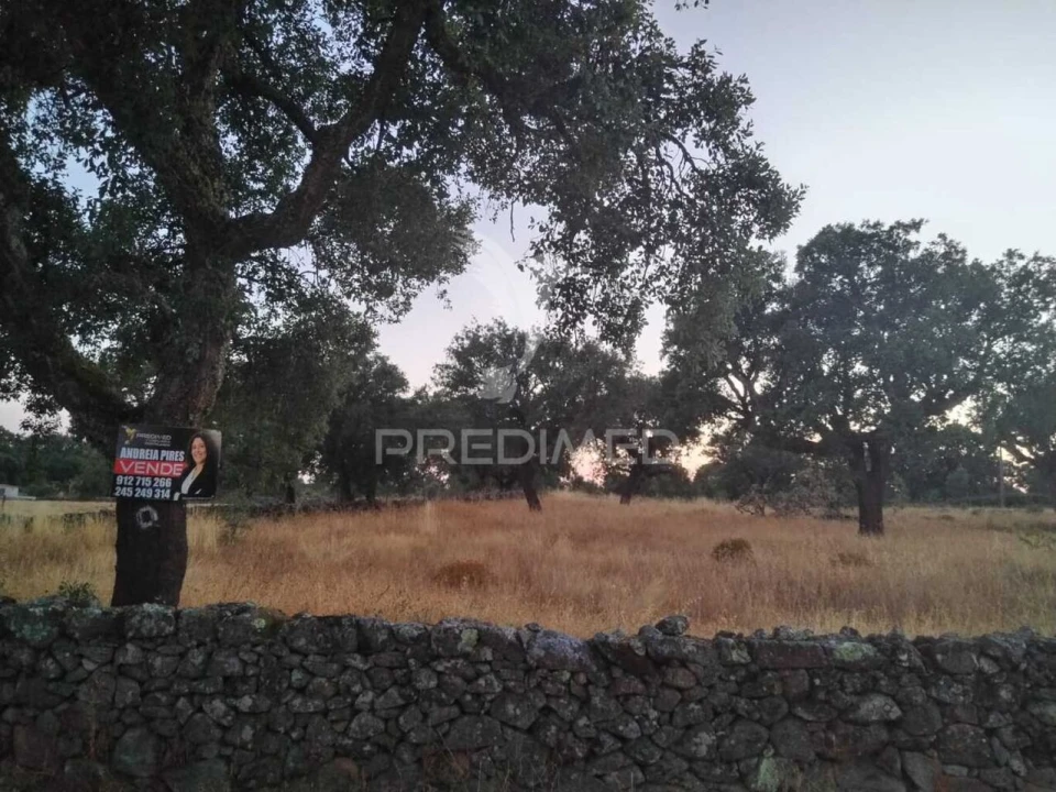 Terreno para Venda em São Salvador da Aramenha Foto 1