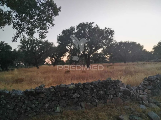 Terreno para Venda em São Salvador da Aramenha Foto 2