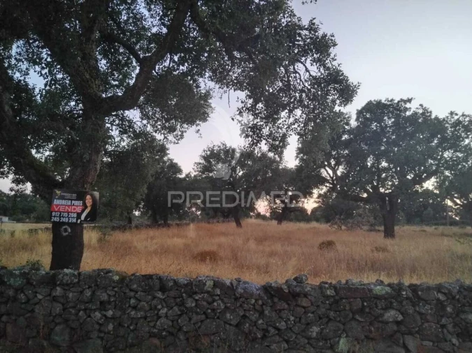 Terreno para Venda em São Salvador da Aramenha Foto 1