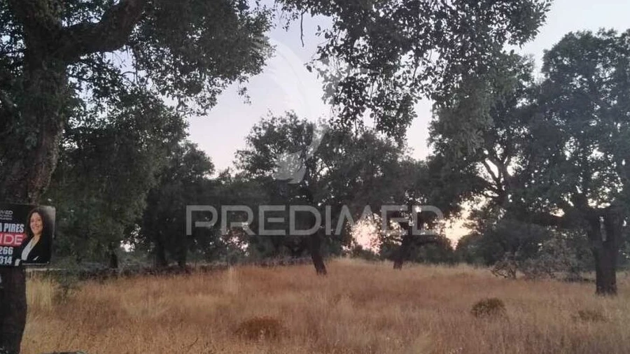 Terreno para Venda em São Salvador da Aramenha