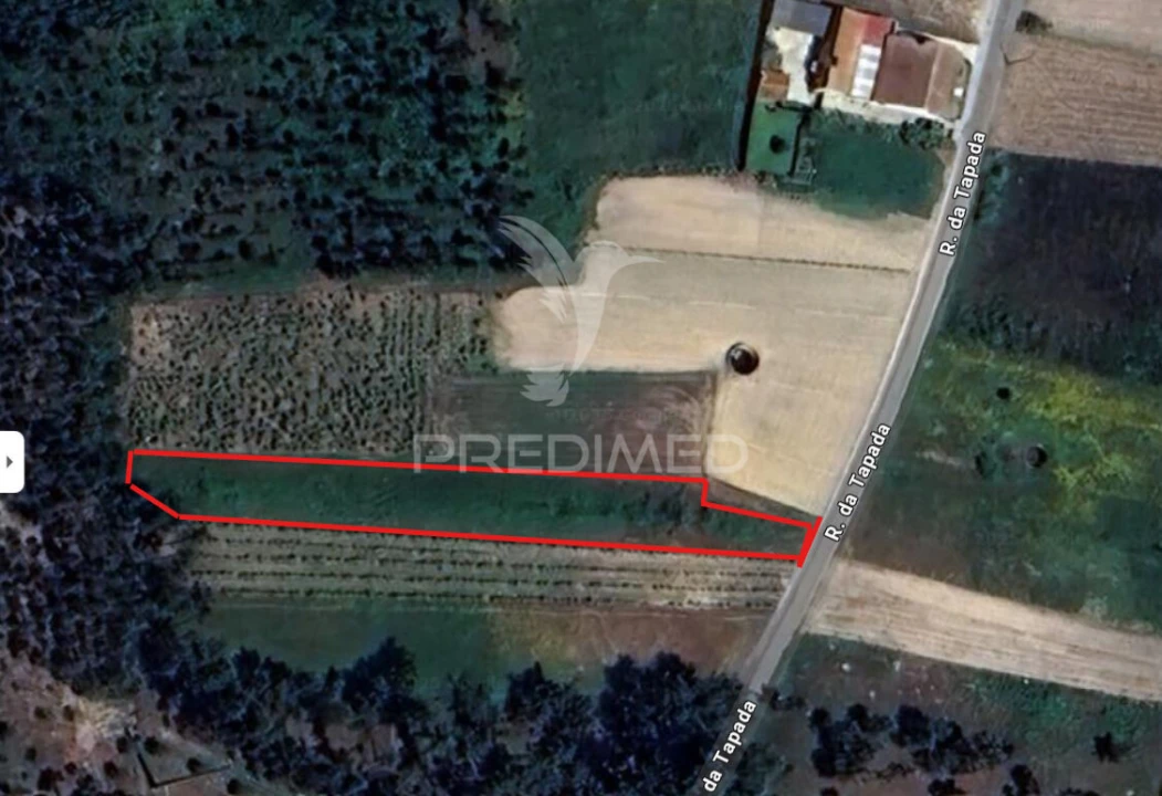 Terreno para Venda em Ouca Foto 1