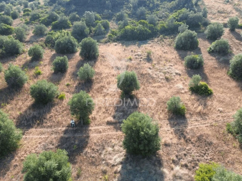 Terreno para Arrendamento em Bugalhos Foto 9