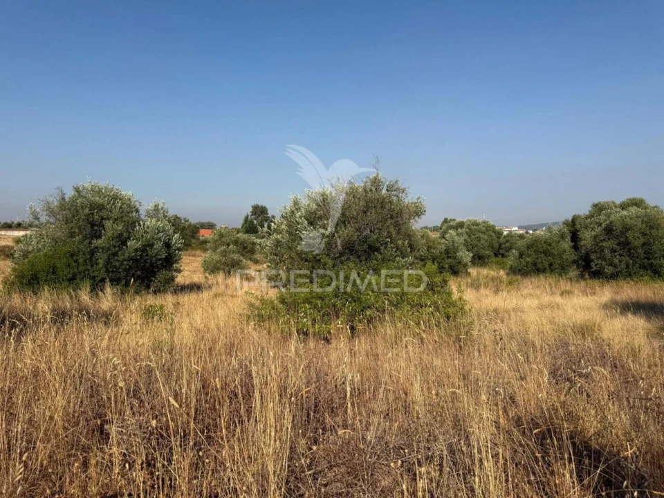 Terreno para Arrendamento em Bugalhos Foto 22