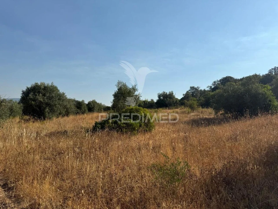 Terreno para Arrendamento em Bugalhos Foto 23