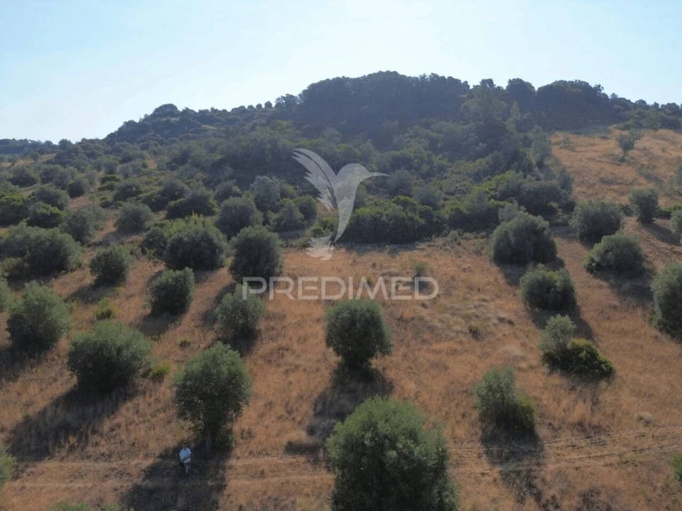 Terreno para Arrendamento em Bugalhos Foto 8