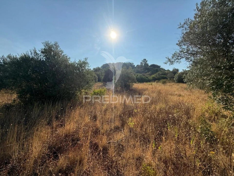 Terreno para Arrendamento em Bugalhos Foto 18