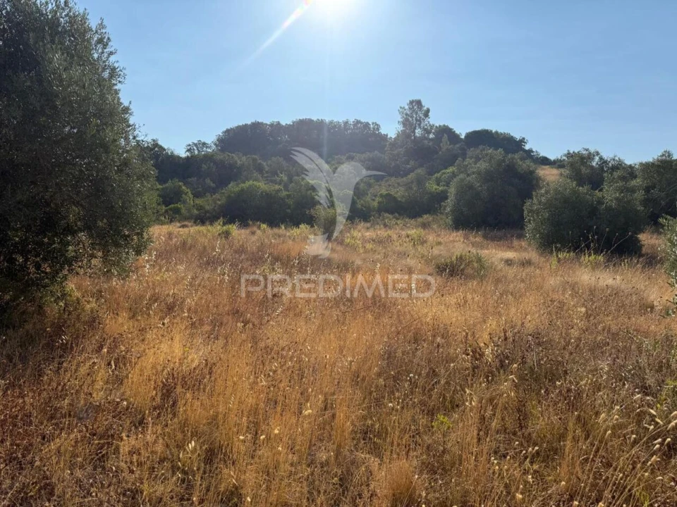 Terreno para Arrendamento em Bugalhos Foto 21
