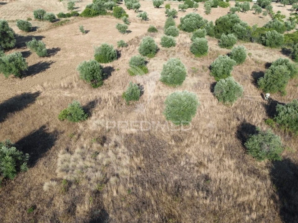 Terreno para Arrendamento em Bugalhos Foto 2