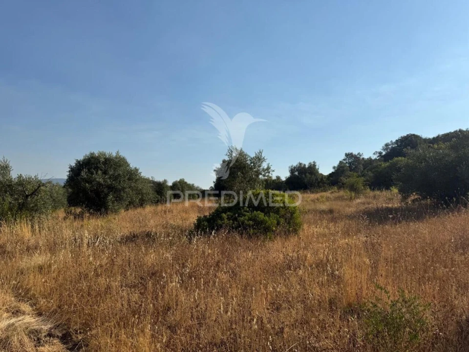 Terreno para Arrendamento em Bugalhos Foto 12