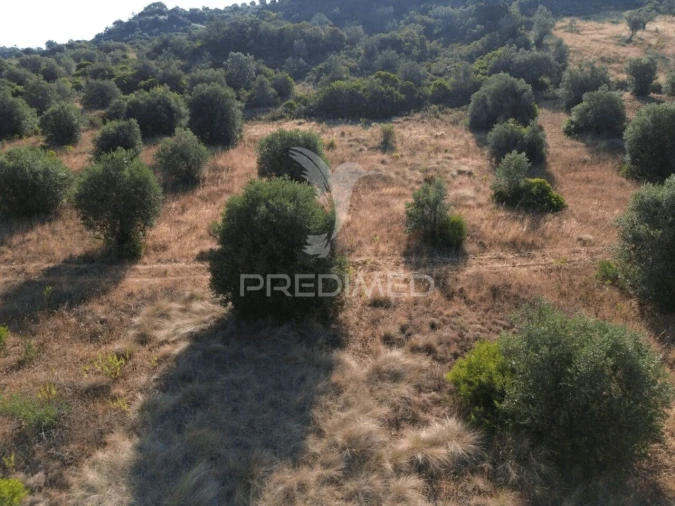 Terreno para Arrendamento em Bugalhos Foto 4