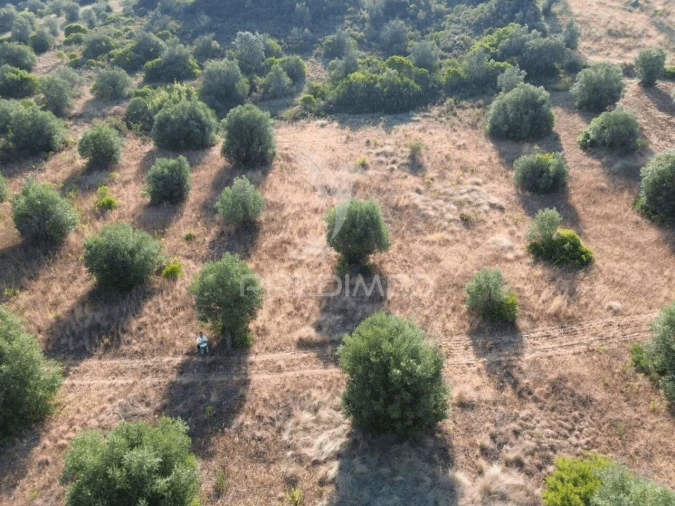 Terreno para Arrendamento em Bugalhos Foto 9