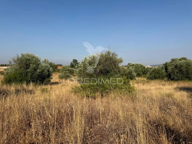 Terreno para Arrendamento em Bugalhos Foto 22