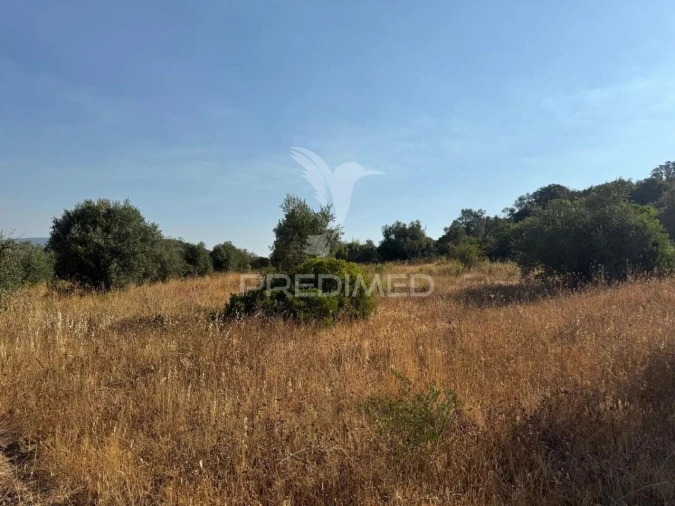 Terreno para Arrendamento em Bugalhos Foto 23