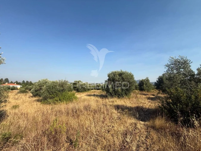 Terreno para Arrendamento em Bugalhos Foto 24